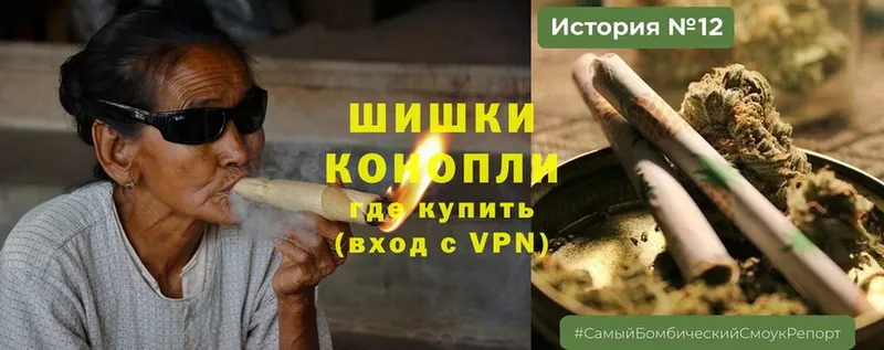 купить  цена  Омск  Конопля ГИДРОПОН 